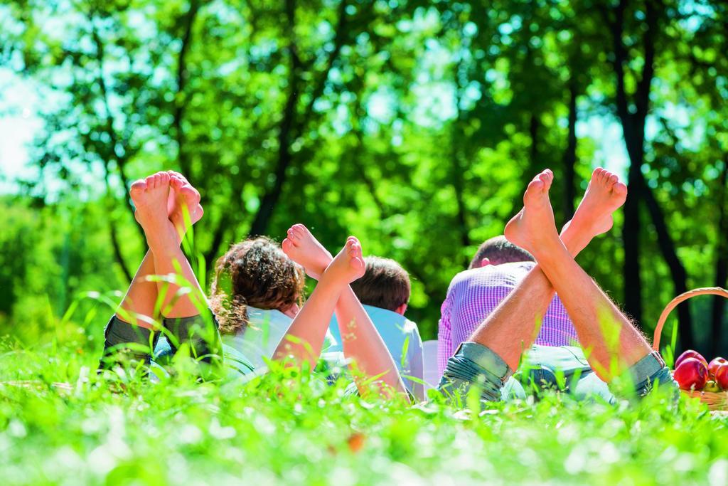 Natuurpark De Witte Bergen Rouveen Phòng bức ảnh