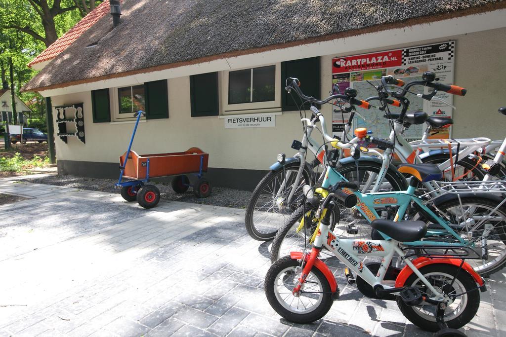 Natuurpark De Witte Bergen Rouveen Phòng bức ảnh