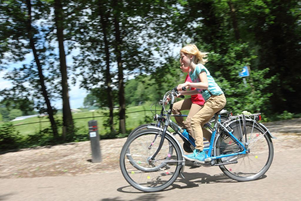Natuurpark De Witte Bergen Rouveen Phòng bức ảnh