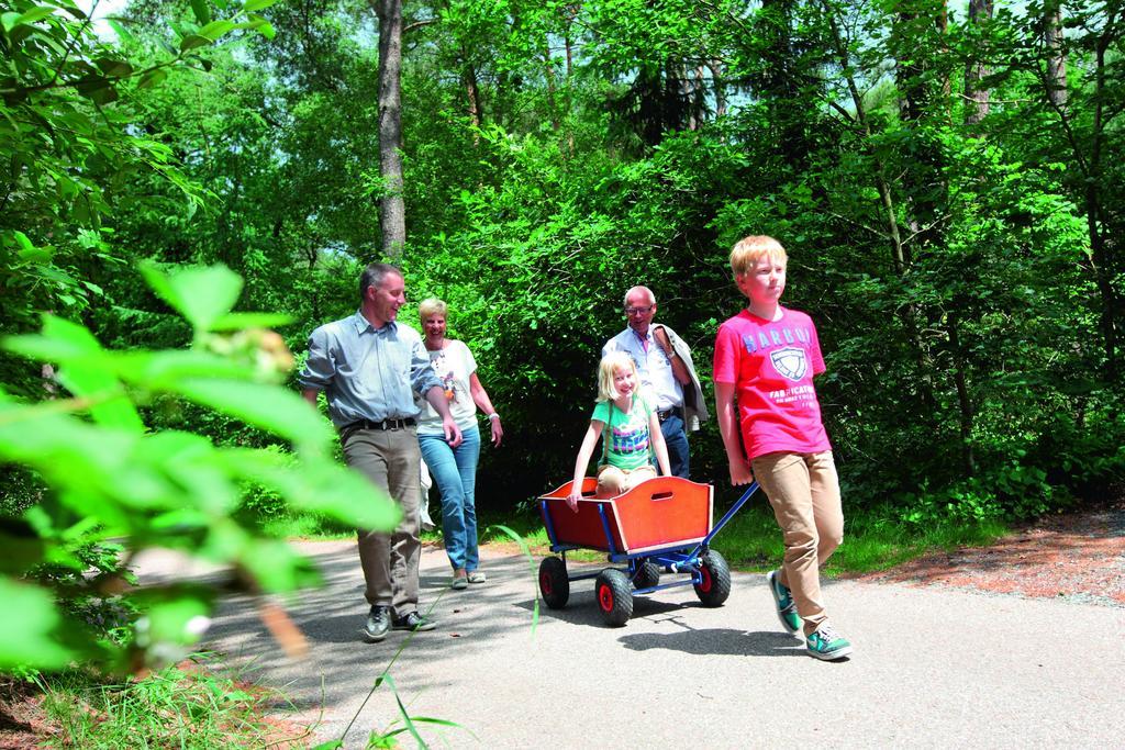 Natuurpark De Witte Bergen Rouveen Phòng bức ảnh