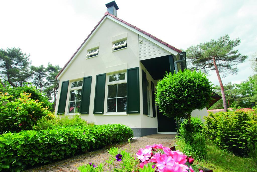 Natuurpark De Witte Bergen Rouveen Phòng bức ảnh