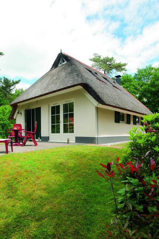 Natuurpark De Witte Bergen Rouveen Phòng bức ảnh